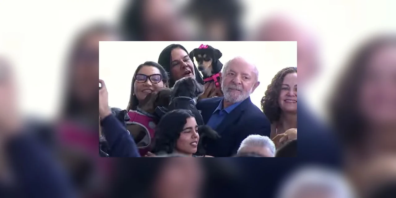 Lula lança sistema gratuito de RG para cães e gatos