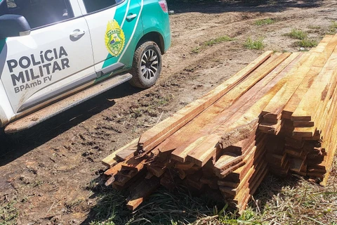 Força Verde fecha serraria clandestina e dono é autuado no interior de Prudentópolis 