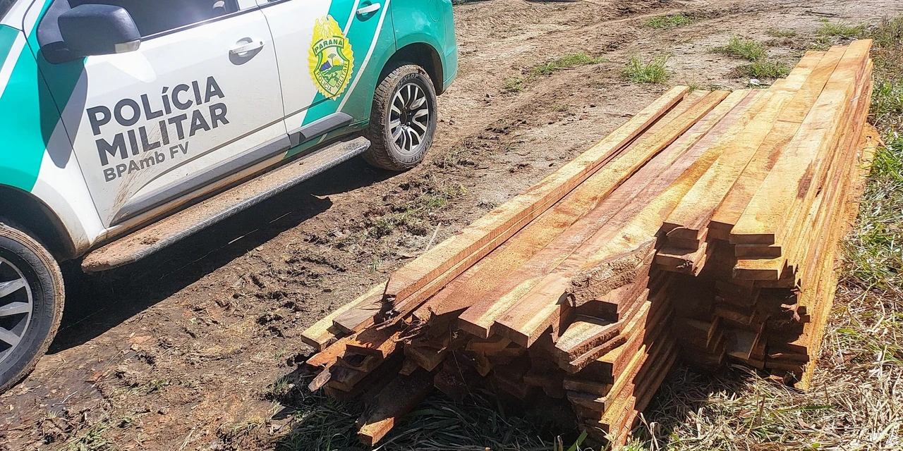 Força Verde fecha serraria clandestina e dono é autuado no interior de Prudentópolis 