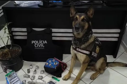 Polícia encontra drogas escondidas em mochila de criança durante operação contra o tráfico