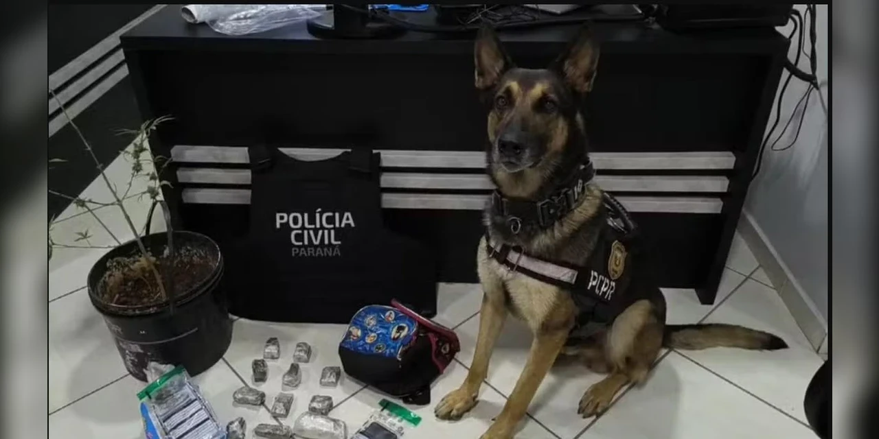 Polícia encontra drogas escondidas em mochila de criança durante operação contra o tráfico