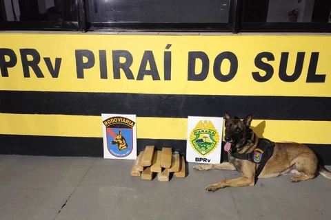 Jovem é preso por tráfico e falsa identidade após ser flagrado com drogas em ônibus que seguia para Goiânia