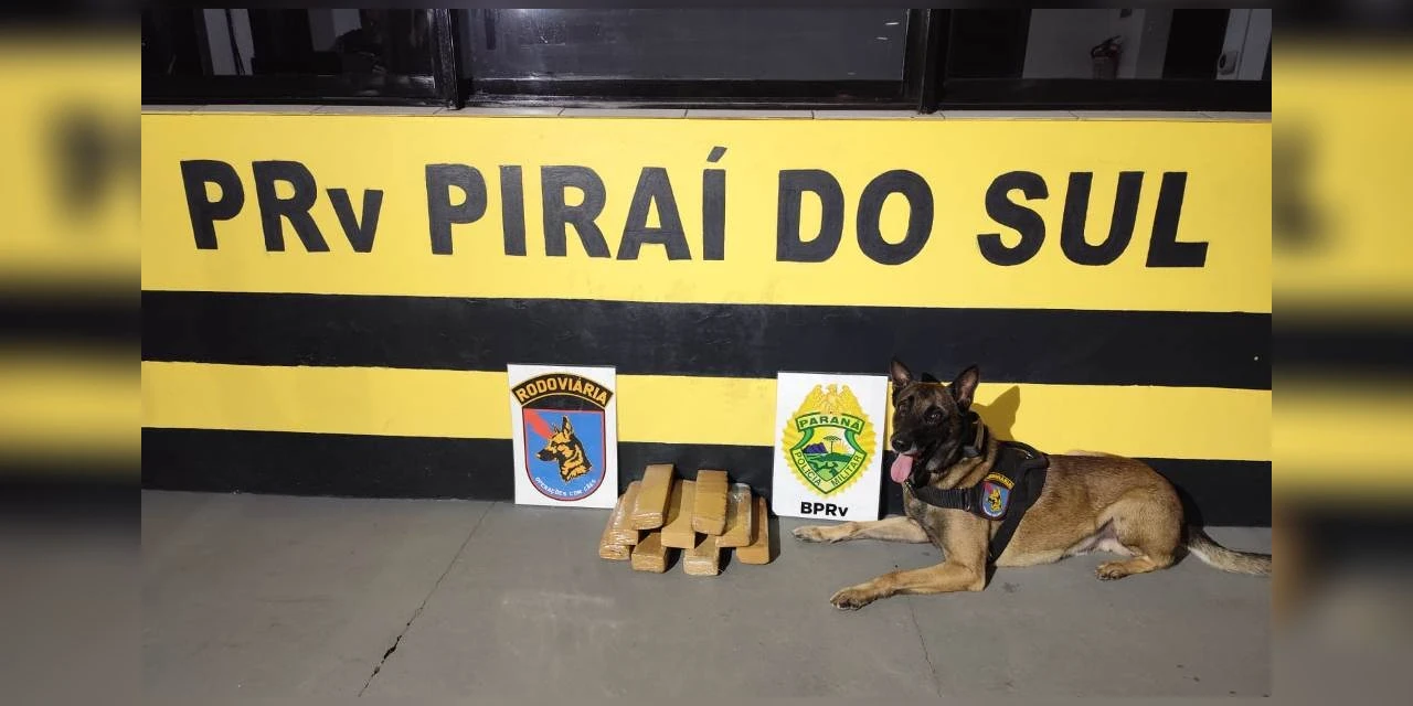 Jovem é preso por tráfico e falsa identidade após ser flagrado com drogas em ônibus que seguia para Goiânia