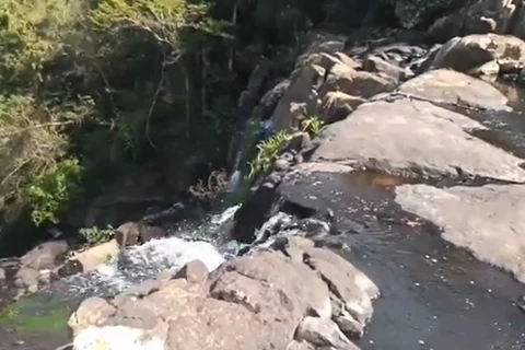 Moradora de PG grávida é assassinada durante trilha em Sapopema; diz policia