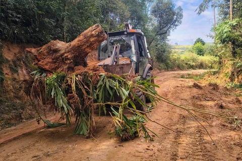 ‘Caminhos do Agro’ chega aos 130 km revitalizados nos quatro distritos de PG
