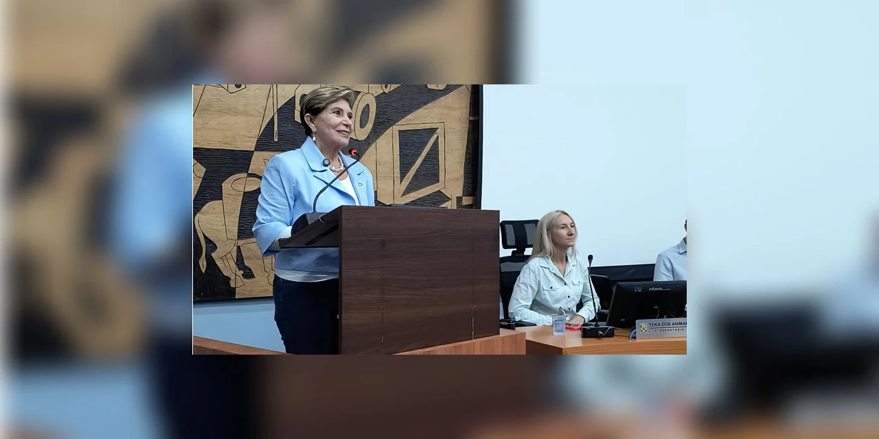 Plano de metas 2025-2028 é apresentado  em audiência pública na Câmara Municipal