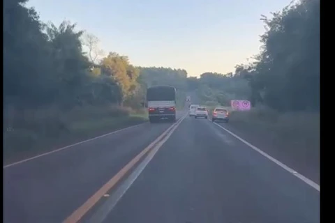 VÍDEO: perseguição policial termina com apreensão de 1,5 tonelada de maconha no PR