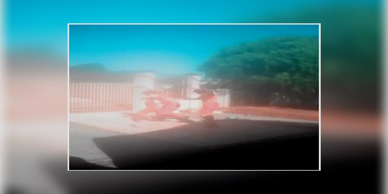 Pitbull foge de casa e ataca coletores de lixo em Ponta Grossa; assista ao vídeo