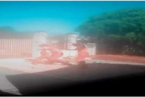 Polícia Civil investiga ataque de pitbull a coletores de lixo em Ponta Grossa 