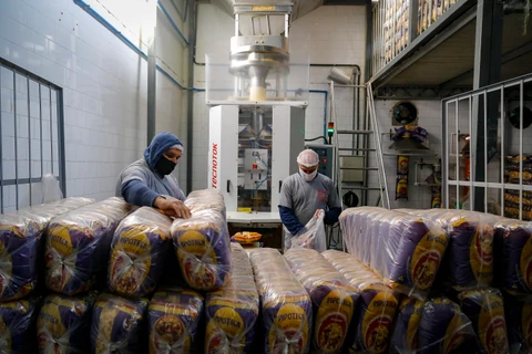 Paraná tem maior aumento na renda per capita entre estados do Sul, Sudeste, Norte e Centro-Oeste