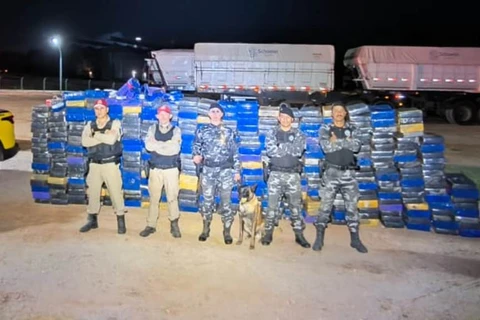 Com ajuda do cão Bolt, PM apreende 4,5 toneladas de drogas em Pirai do Sul 