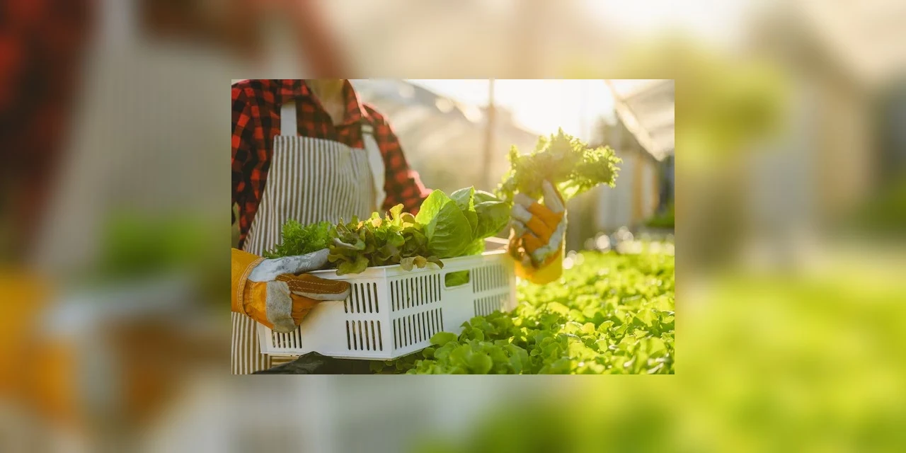 Prefeitura abre chamada para compra de alimentos de agricultores familiares