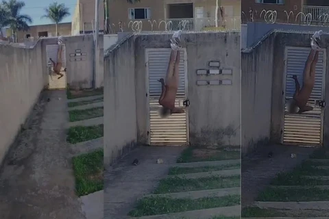 Homem fica nu e pendurado pelas calças ao tentar invadir casa da ex; assista!