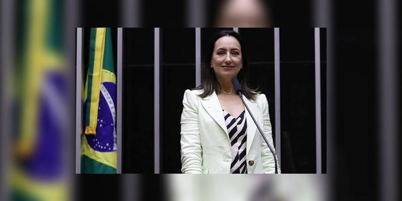 Rosangela Moro quer que “pais” de bebês reborn sejam tratados no SUS