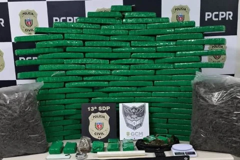 GCM e PCPR apreendem quase 100 kg de drogas em residência na Ronda 