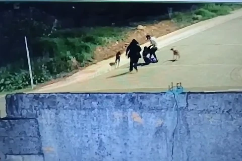 Adolescente e mulher suspeitos de homicídio na Coronel Claudio são apreendidos 