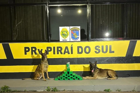 Mulher que transportava 22 Kg de maconha dentro de ônibus é presa em Pirai do Sul 