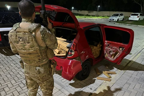 PRF apreende mais de 600 quilos de maconha na BR-476, em Araucária (PR)