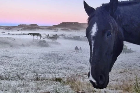 Inmet prevê neve pela primeira vez no ano no Sul do páis