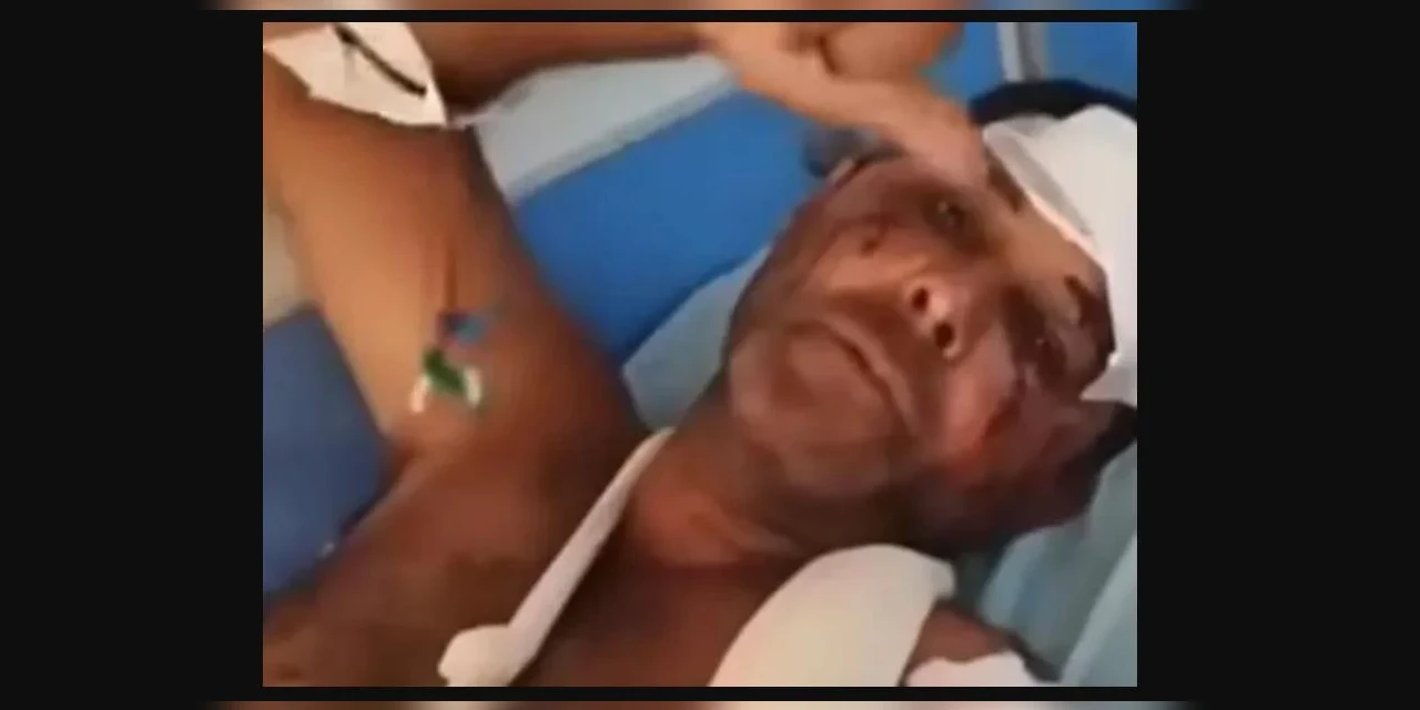 Vaqueiro é atacado por onça-pintada em Goiás, se defende com facão e sobrevive