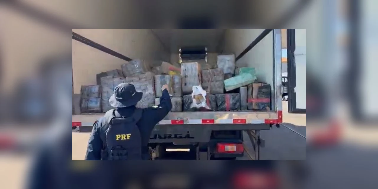 PRF apreende quase 8 toneladas de maconha e faz a maior apreensão do ano no Paraná