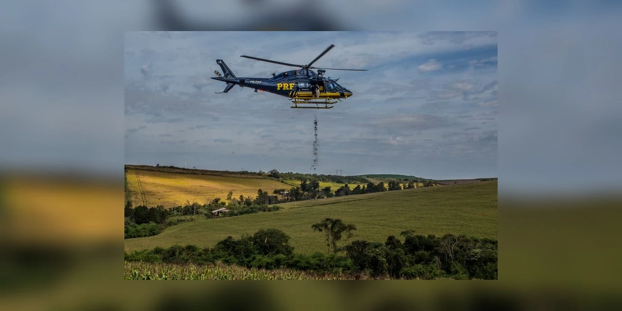 Helicóptero da PRF lança 10 toneladas de sementes para reflorestar áreas da Mata Atlântica no Paraná