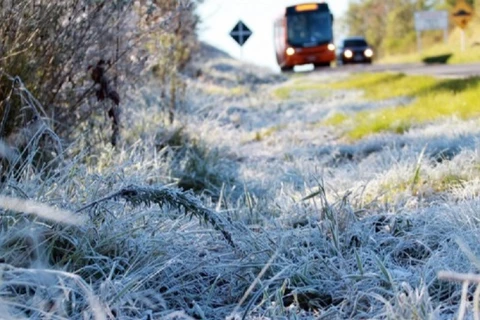 Com previsão de geada, temperaturas começam a cair nesta segunda-feira no Paraná