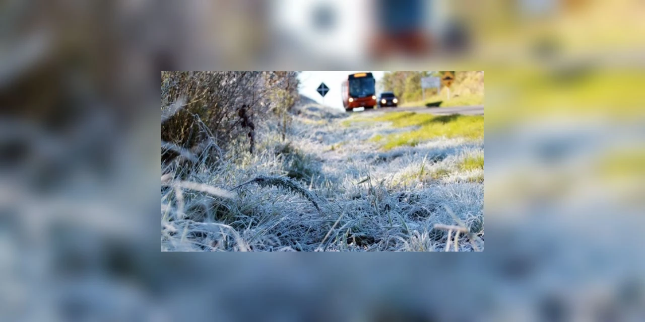 Com previsão de geada, temperaturas começam a cair nesta segunda-feira no Paraná