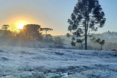 Geada e 0,2°C em estação do Interior: frio segue no Paraná até o fim de semana