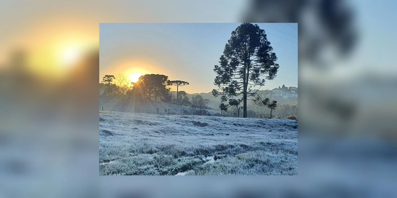 Geada e 0,2°C em estação do Interior: frio segue no Paraná até o fim de semana