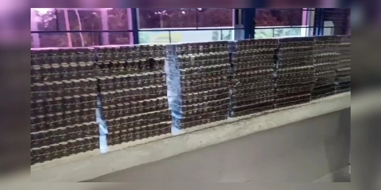 PRF apreende anabolizantes e medicamentos em Ponta Grossa