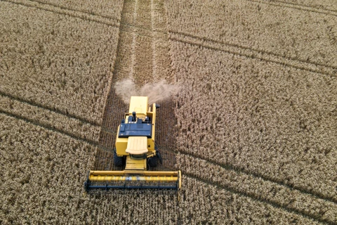 PIB do Paraná cresce 5% no 1º trimestre, quase o dobro da média nacional e acima dos EUA