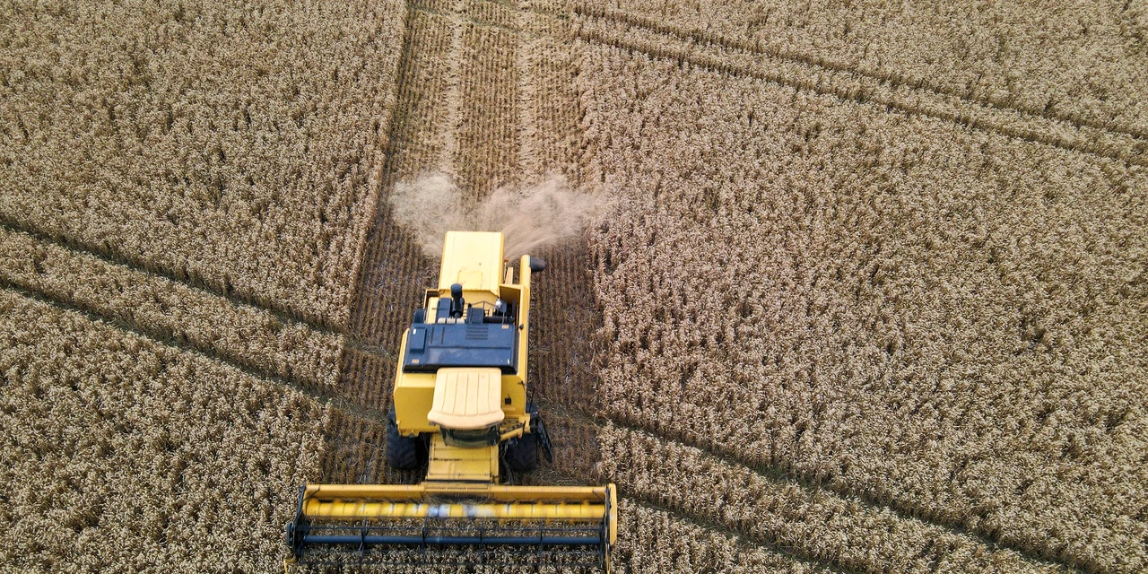 PIB do Paraná cresce 5% no 1º trimestre, quase o dobro da média nacional e acima dos EUA