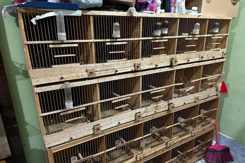 PCPR deflagra operação para desarticular um dos maiores grupos de tráfico internacional de animais do País