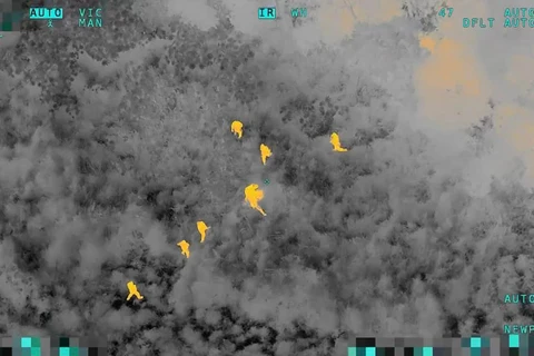 Câmeras térmicas: Falcão da PMPR detecta fugitivo que transportava 215 kg de drogas