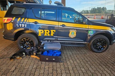 PRF flagra jovem grávida com quase 10 quilos de skunk em ônibus na BR-277