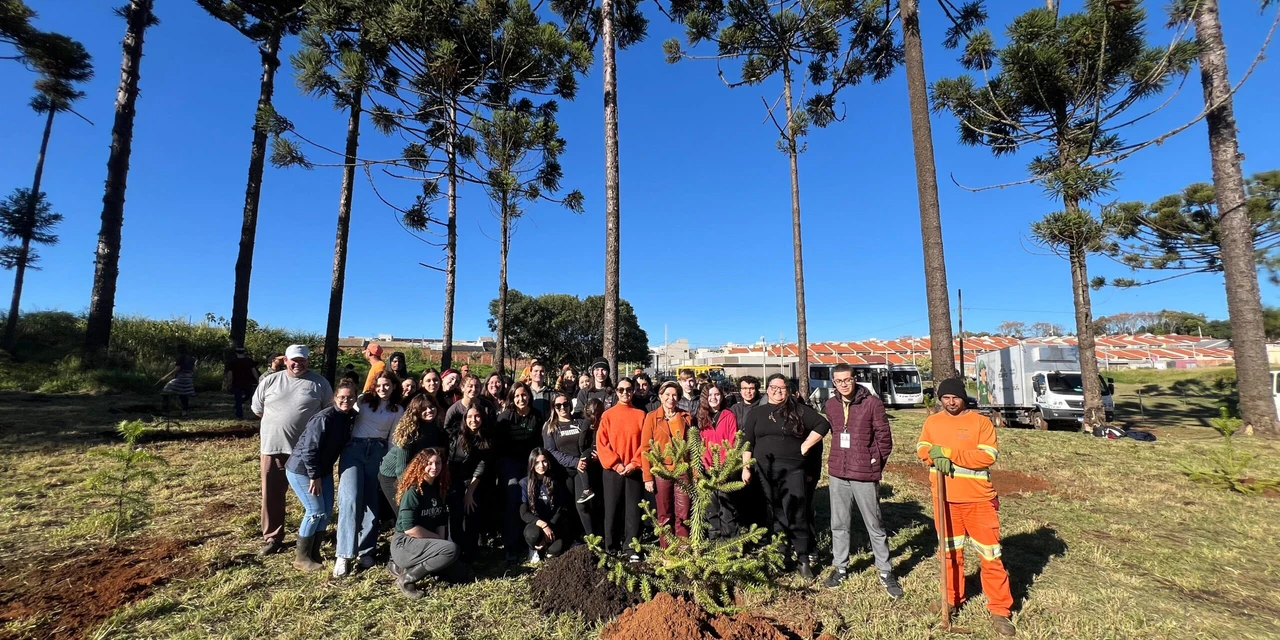 No Dia Nacional da Araucária, Prefeitura realiza plantio de 50 mudas no Parque das Araucárias