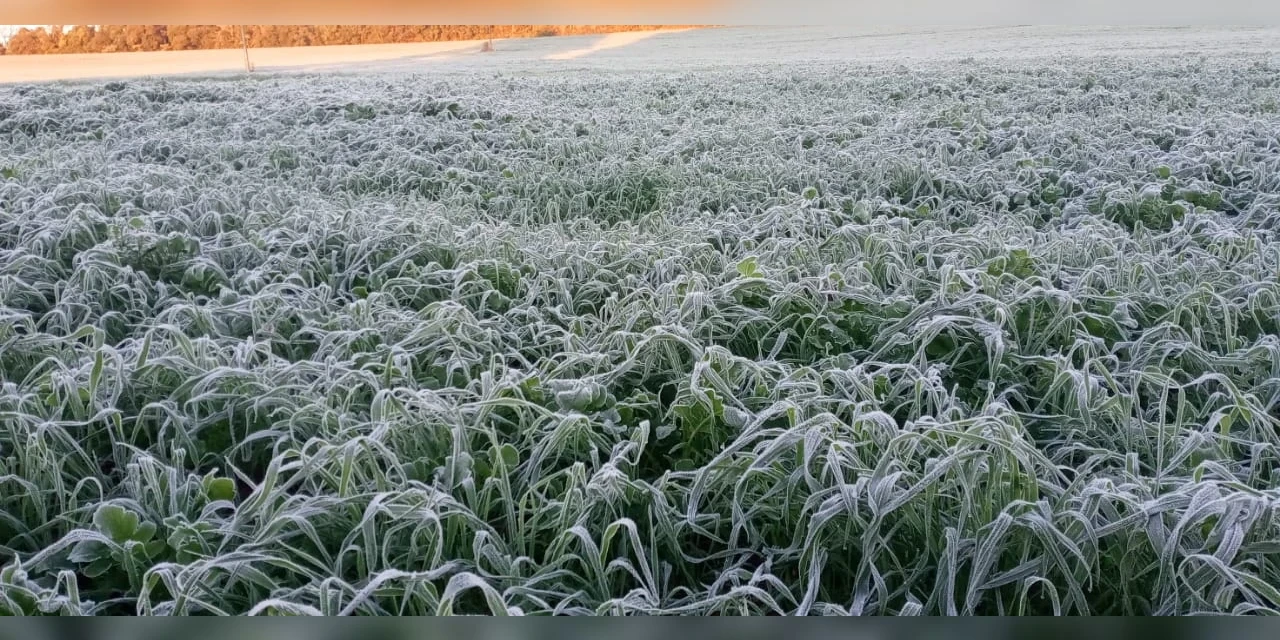 Ponta Grossa amanhece com geada e temperatura em -2 °C