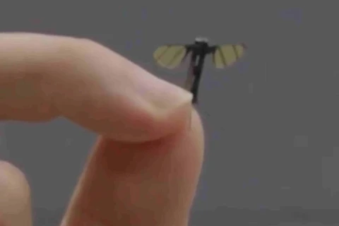 China cria drone militar do tamanho de uma mosca 