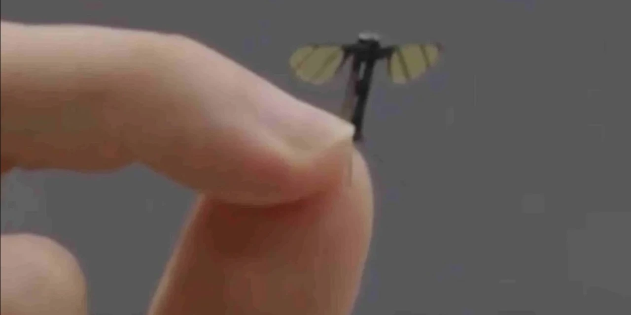 China cria drone militar do tamanho de uma mosca 
