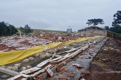 Temporal destrói aviários em Chapecó (SC) 