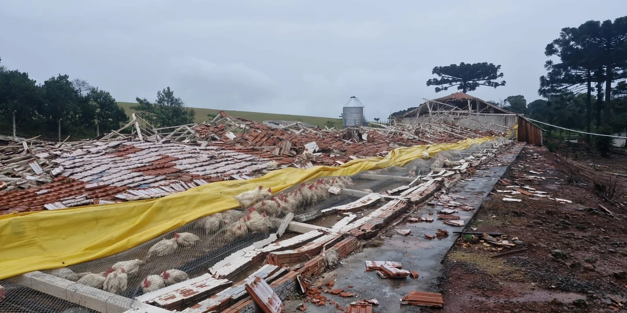 Temporal destrói aviários em Chapecó (SC) 