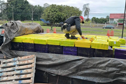 PMPR apreende 3 toneladas de maconha ao suspeitar de caminhão com placa suja de barro