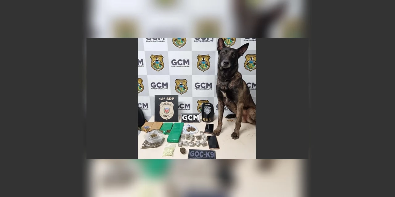 Nova ação integrada da PCPR e GCM apreende maconha e ecstasy no Boa Vista 