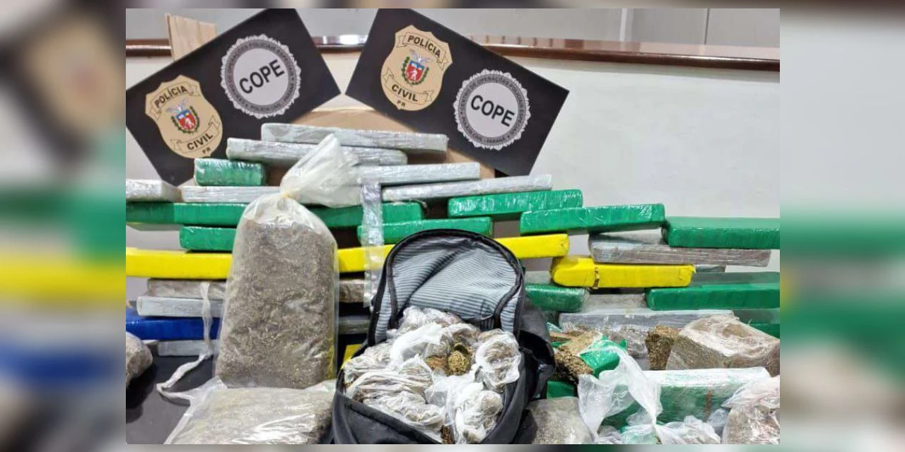 PCPR apreende 327 quilos de maconha gourmet