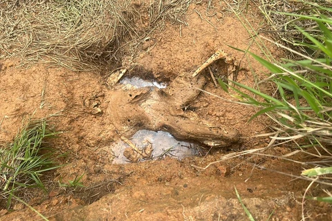 Polícia Civil prende suspeito de executar opositor com 29 tiros na região 