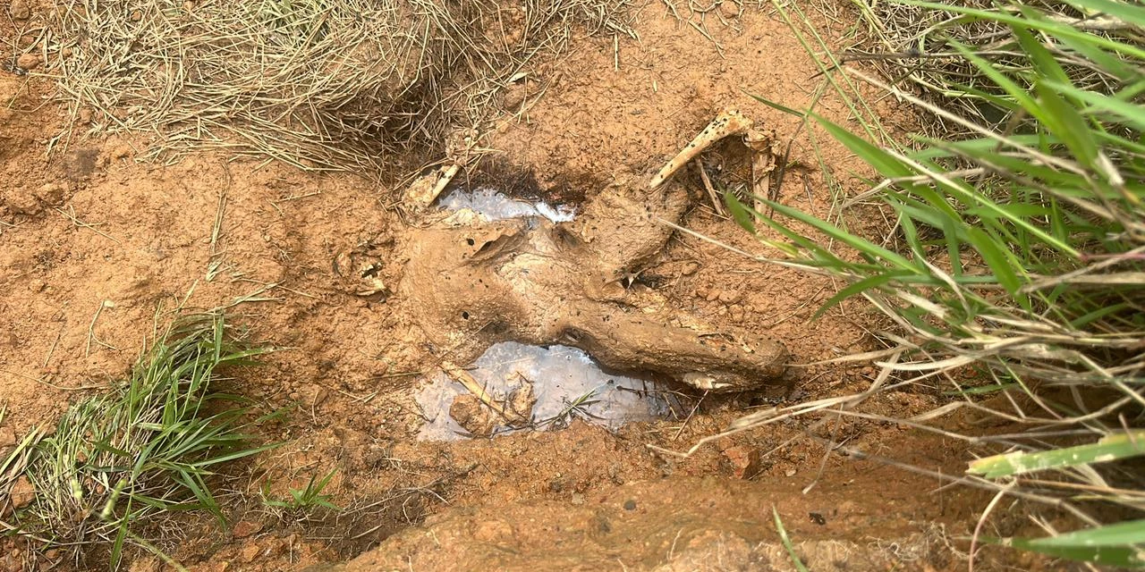 Polícia Civil prende suspeito de executar opositor com 29 tiros na região 