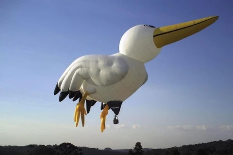 Festival de Balonismo volta a colorir os céus de Ponta Grossa na próxima semana