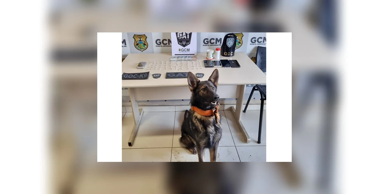 Cão da GCM ajuda equipe a fechar ponto de tráfico de drogas em PG 