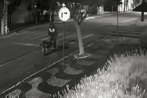 Polícia Civil prende autor de furtos em Palmeira 